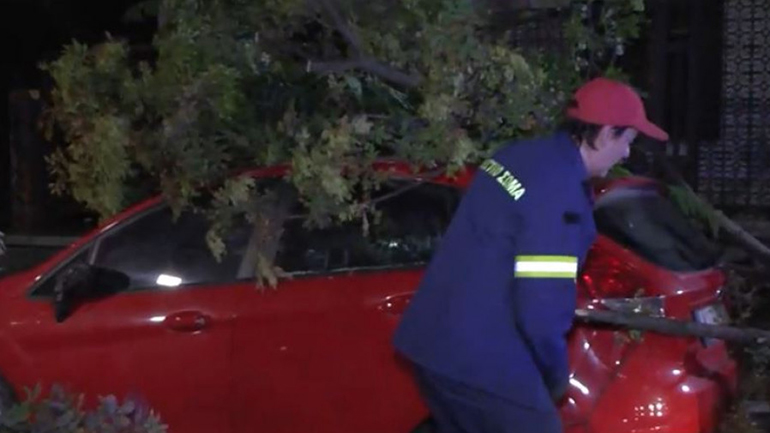 Πτώσεις δέντρων στη Θεσσαλονίκη εξαιτίας των ισχυρών ανέμων